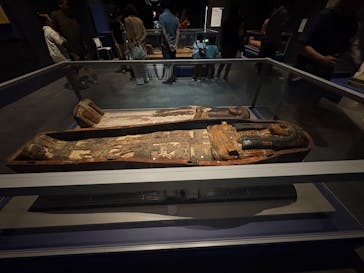 ブルックリン博物館所蔵　特別展　古代エジプト（豊田会場）に投稿された画像（2025/8/26）