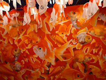 錦鯉・金魚アクアリウム in ときメッセに投稿された画像（2025/8/26）