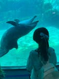 名古屋港水族館に投稿された画像（2025/8/27）