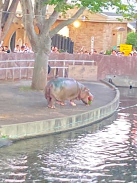 日立市かみね動物園に投稿された画像（2025/8/26）