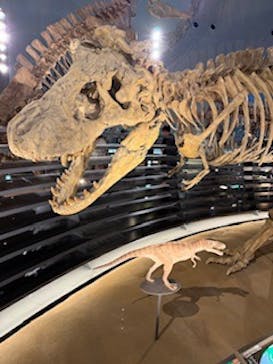福井県立恐竜博物館に投稿された画像（2025/8/26）