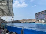 名古屋港水族館に投稿された画像（2025/8/27）