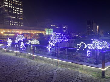 名古屋港水族館に投稿された画像（2025/8/26）