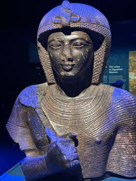 ACN ラムセス大王展 ファラオたちの黄金に投稿された画像（2025/8/26）