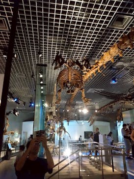 国立科学博物館に投稿された画像（2025/8/26）