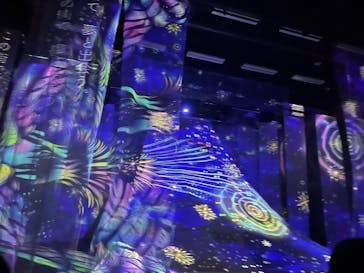 旅する光の切り絵展 ～くうそうって、まほうだよ～に投稿された画像（2025/8/27）