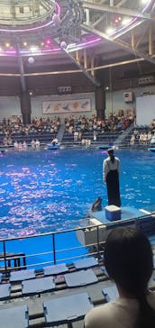 マクセル アクアパーク品川に投稿された画像（2025/8/27）