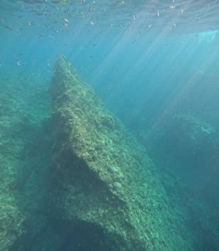 沖縄マリンサービス碧に投稿された画像（2025/8/27）