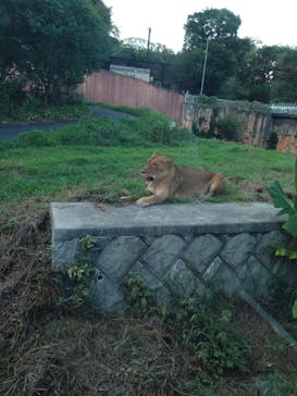 多摩動物公園に投稿された画像（2025/8/27）