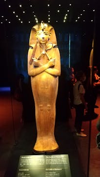 ACN ラムセス大王展 ファラオたちの黄金に投稿された画像（2025/8/27）