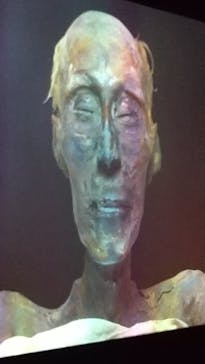 ACN ラムセス大王展 ファラオたちの黄金に投稿された画像（2025/8/27）