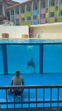 伊豆・三津シーパラダイスに投稿された画像（2025/8/27）