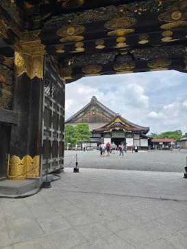 元離宮二条城に投稿された画像（2025/8/27）