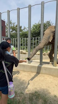 しろとり動物園に投稿された画像（2025/8/27）