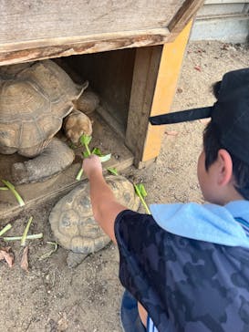 しろとり動物園に投稿された画像（2025/8/27）