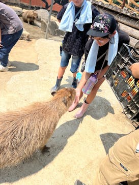 しろとり動物園に投稿された画像（2025/8/27）