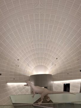 福井県立恐竜博物館に投稿された画像（2025/8/27）