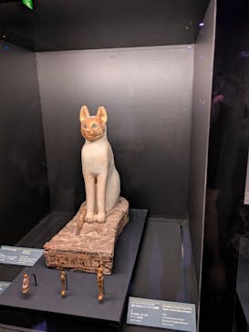 ACN ラムセス大王展 ファラオたちの黄金に投稿された画像（2025/8/27）