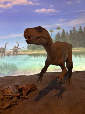 福井県立恐竜博物館に投稿された画像（2025/8/27）