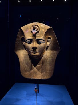 ACN ラムセス大王展 ファラオたちの黄金に投稿された画像（2025/8/27）