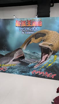 最強王図鑑フェスティバル in 東京タワーに投稿された画像（2025/8/27）