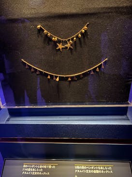 ACN ラムセス大王展 ファラオたちの黄金に投稿された画像（2025/8/27）