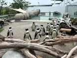 仙台うみの杜水族館に投稿された画像（2025/8/27）