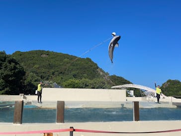 太地町立くじらの博物館に投稿された画像（2025/8/27）