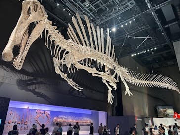 福井県立恐竜博物館に投稿された画像（2025/8/27）