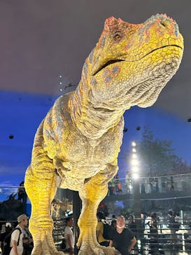 福井県立恐竜博物館に投稿された画像（2025/8/27）