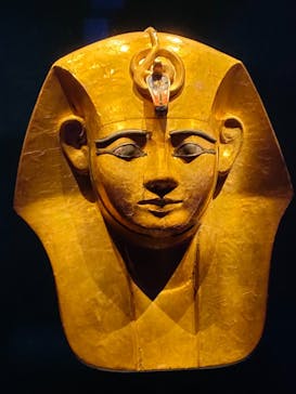 ACN ラムセス大王展 ファラオたちの黄金に投稿された画像（2025/8/27）