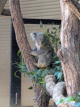 名古屋市東山動植物園に投稿された画像（2025/8/27）