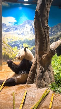 恩賜上野動物園に投稿された画像（2025/8/27）