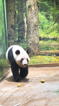 恩賜上野動物園に投稿された画像（2025/8/27）
