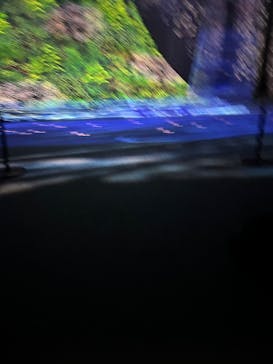 旅する光の切り絵展 ～くうそうって、まほうだよ～に投稿された画像（2025/8/27）