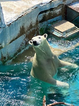 天王寺動物園に投稿された画像（2025/8/27）