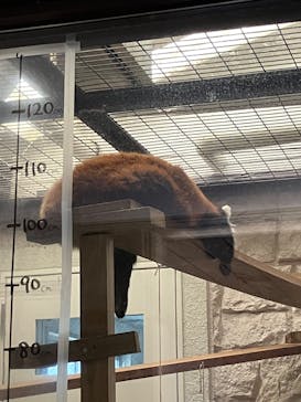 天王寺動物園に投稿された画像（2025/8/27）