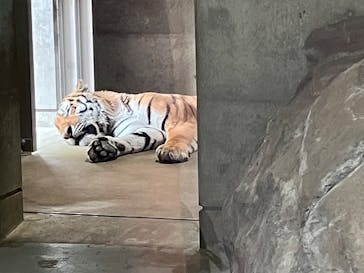 天王寺動物園に投稿された画像（2025/8/27）