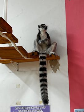 アニタッチ MARK IS 静岡に投稿された画像（2025/8/27）