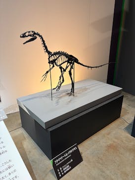 福井県立恐竜博物館に投稿された画像（2025/8/27）
