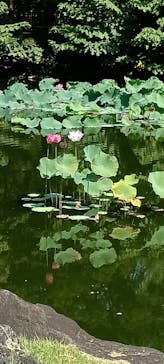 東京国立博物館に投稿された画像（2025/8/27）