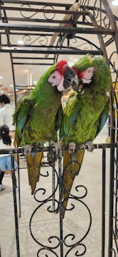 アニタッチ 東京ドームシティに投稿された画像（2025/8/27）