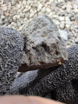 福井県立恐竜博物館に投稿された画像（2025/8/27）