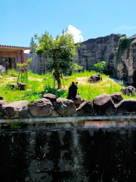 九十九島パールシーリゾートに投稿された画像（2025/8/27）