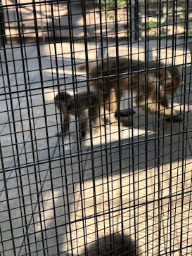 沖縄こどもの国に投稿された画像（2025/8/27）