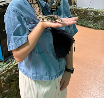 いきもの探検隊上尾に投稿された画像（2025/8/27）