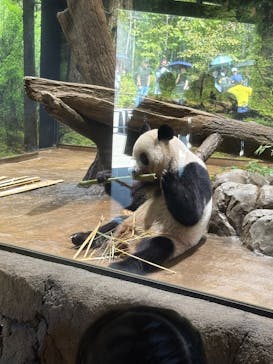 恩賜上野動物園に投稿された画像（2025/8/27）