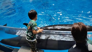 マクセル アクアパーク品川に投稿された画像（2025/8/27）