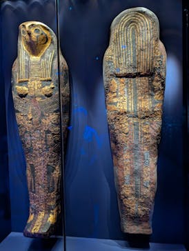 ACN ラムセス大王展 ファラオたちの黄金に投稿された画像（2025/8/27）