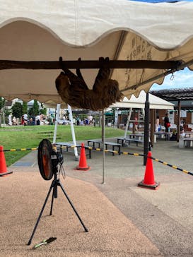 あらかわ遊園に投稿された画像（2025/8/27）